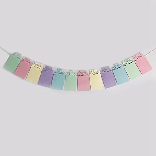 1st Birthday Baby Photo Banner Pastel Color (Multi)